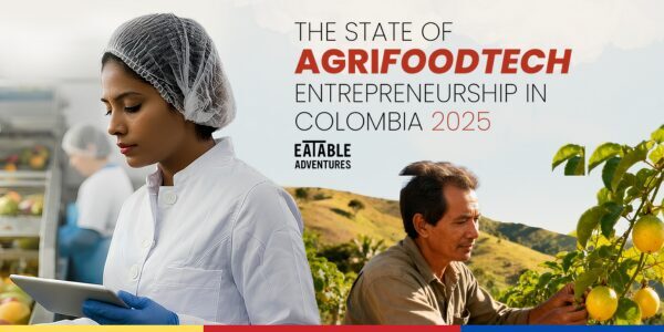 Portada Informe web (3)