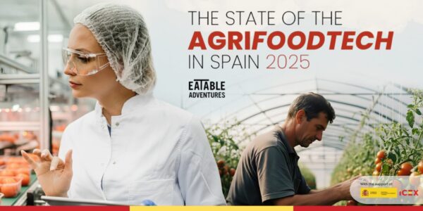 Portada Informe web (7)